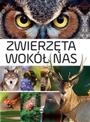 Zwierzęta ... - Anna Skrok - buch auf polnisch 