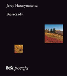 Obrazek Bieszczady