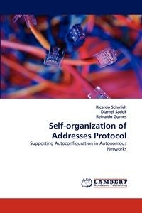 Bild von Self-organization of Addresses Protocol