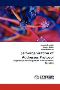 Obrazek Self-organization of Addresses Protocol