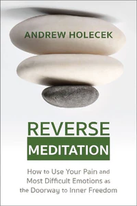 Bild von HOLECEK, A: REVERSE MEDITATION