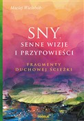 Polska książka : Sny Senne ... - Maciej Wielobób
