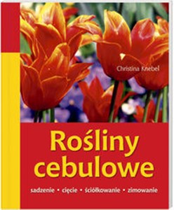 Obrazek Rośliny cebulowe Sadzenie, cięcie, ściółkowanie, zimowanie