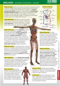Bild von Biologia. Budowa człowieka - układy. Karta edukacyjna