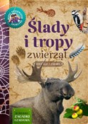 Zobacz : Ślady i tr... - Anna Lewandowska, Grzegorz Okołów