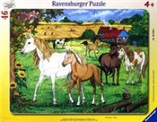 Zeige Details für Puzzle ramkowe 46 Konie na padoku Puzzle ram... -  Książka z wysyłką do Niemiec