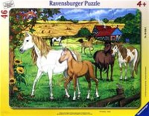 Obrazek Puzzle ramkowe 46 Konie na padoku