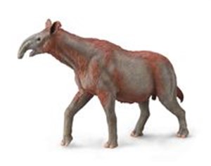 Obrazek Paracera Therium