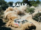 Rally -  Książka z wysyłką do Niemiec 