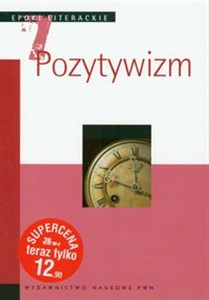 Obrazek Epoki literackie Pozytywizm