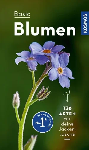 Obrazek DREYER, E: BASIC BLUMEN
