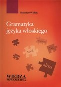 Gramatyka ... - Stanisław Widlak -  polnische Bücher