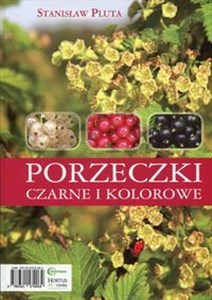 Obrazek Porzeczki czarne i kolorowe