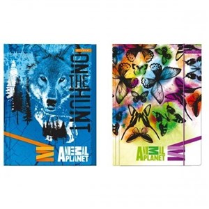 Obrazek Teczka z gumką A4 Animal Planet