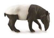 Zobacz : Tapir Czap...