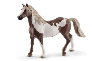 Obrazek SLH Paint Gelding koń