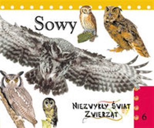Bild von Na ścieżkach wiedzy 100 stworzeń migrujących i zasypiających na zimę encyklopedia 4