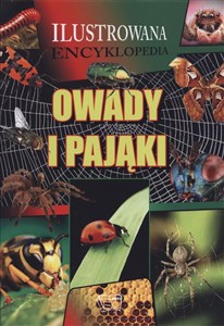 Obrazek Owady i pająki