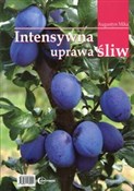 Polska książka : Intensywna...