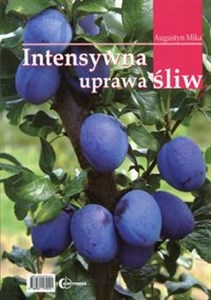 Obrazek Intensywna uprawa śliw