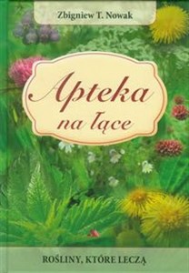 Obrazek Apteka na łące Rośliny, które leczą