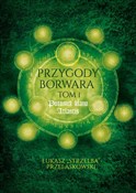 Przygody B... - Łukasz Przelaskowski -  polnische Bücher