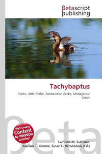Obrazek TACHYBAPTUS