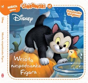 Obrazek Disney Classic Wesoła niespodzianka Figara Książeczka dotykowa