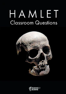 Bild von FARRELL, A: HAMLET CLASSROOM QUESTIONS