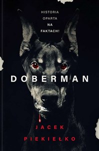 Bild von Doberman