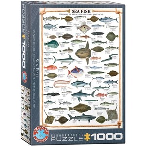 Bild von Puzzle 1000 Morskie ryby