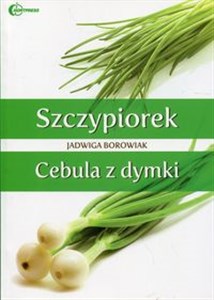 Obrazek Szczypiorek Cebula z dymki