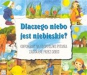 Polska książka : Dlaczego n... - Anna Podgórska