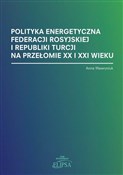 Polska książka : Polityka e... - Anna Wawryniuk