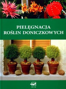 Obrazek Pielęgnacja roślin doniczkowych
