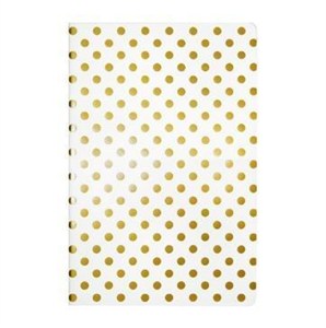 Bild von Notes A5/40K PAUL&CO.