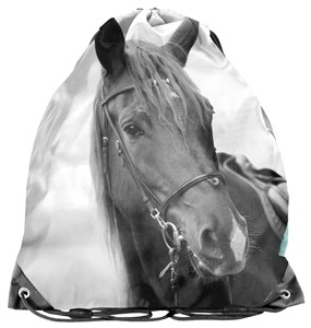 Bild von Worek Paso Horse PP21KE-712