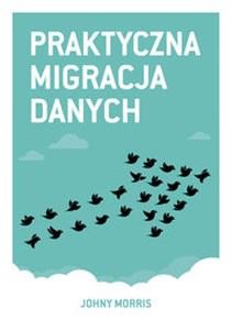 Obrazek Praktyczna migracja danych