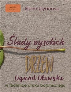 Obrazek Ślady wysokich drzew