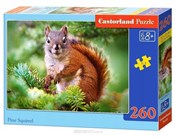 Polnische buch : Puzzle Pin...