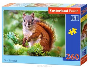 Obrazek Puzzle Pine Squirrel 260