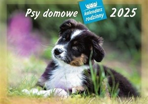 Bild von Kalendarz 2025 rodzinny WL08 Psy domowe