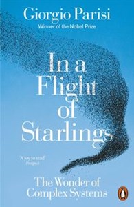 Obrazek In a Flight of Starlings