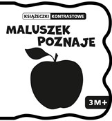 Pianki kon... - Opracowanie Zbiorowe - buch auf polnisch 