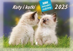 Obrazek Kalendarz 2025 rodzinny WL09 Koty i kotki