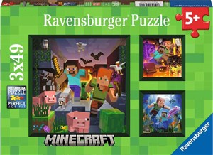 Obrazek Puzzle 2D 3x49 Minecraft 5621