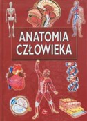 Anatomia c... -  fremdsprachige bücher polnisch 