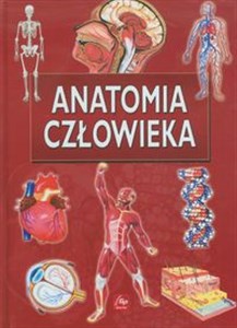 Bild von Anatomia człowieka Ilustrowana encyklopedia