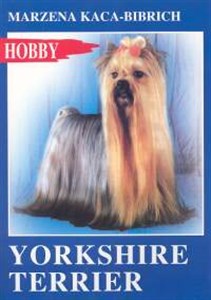 Bild von Yorkshire terrier