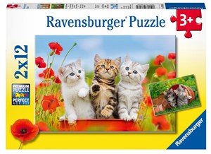 Obrazek Puzzle 2x12 Koty przygoda